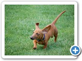 2007-06-12-bxw-source_of_unlimited_energy