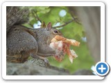 2007-06-14-bwu-my_sammich