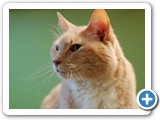 2007-07-05-bpp-ednas_the_sweet_one
