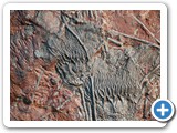 2007-09-02-egq-primordial_soup_du_jour