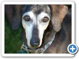 2007-10-03-jlb-everybody_loved_the_Bud