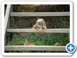 2007-10-15-8ib-geronimo