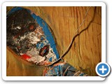 2007-11-17-ftn-details_from_the_art_of_David_Hage_5