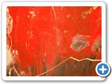 2007-11-19-bbs-details_from_the_art_of_David_Hage_7