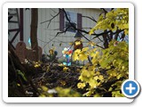 2007-11-29-con-plastic_leaves_never_die