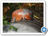 2007-12-15-cuo-hiding_amongst_the_leaves