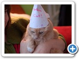 2007-12-20-ga2-cat_in_the_birthday_hat