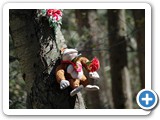 2008-05-14-ikc-we_miss_you_more_than_donkey_kong_in_a_tie_with_a_carnation_and_a_cigarette_stapled_to_him_nailed_to_a_tree_can_say