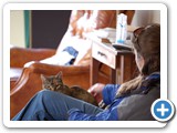 2008-05-28-dez-the_empty_chair_of_age