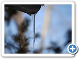2008-06-20-czt-the_icicle_of_patience