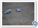 2008-09-04-gs6-summer