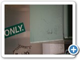 2008-11-20-czn-lonely_the_only