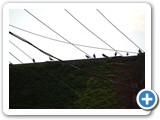 2008-11-25-h2x-commas_released_by_the_wind