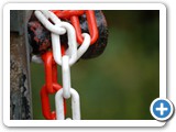 2009-03-02-cmv-red_white_and_you