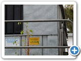 2009-03-17-cuk-caught_between_a_fence_and_a_dumpster_place