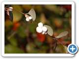 2009-03-18-ch7-what_the_winter_sun_reveals