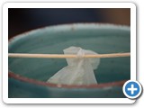 2009-04-06-dz5-tea_hee
