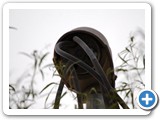 2009-04-17-gn1-krzttake_me_to_your_leaderkrztkrtl