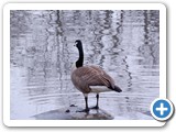 2009-04-28-mut-another_day_another_lake