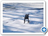 2009-06-15-lvy-middle_age