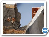 2009-06-23-e2c-even_walls_tear
