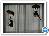 2009-07-20-dno-dance_away_the_darkness