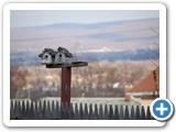 2009-08-11-dby-tiny_but_a_nice_view
