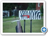 2009-08-31-g8q-Its_a_Suburban_Jungle_Out_There
