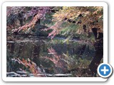 2009-09-29-d0p-narcissism