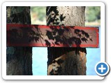2010-01-27-e2q-nature_abhors_a_right_angle_and_being_told_what_to_do