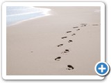 2010-02-22-jng-all_your_efforts